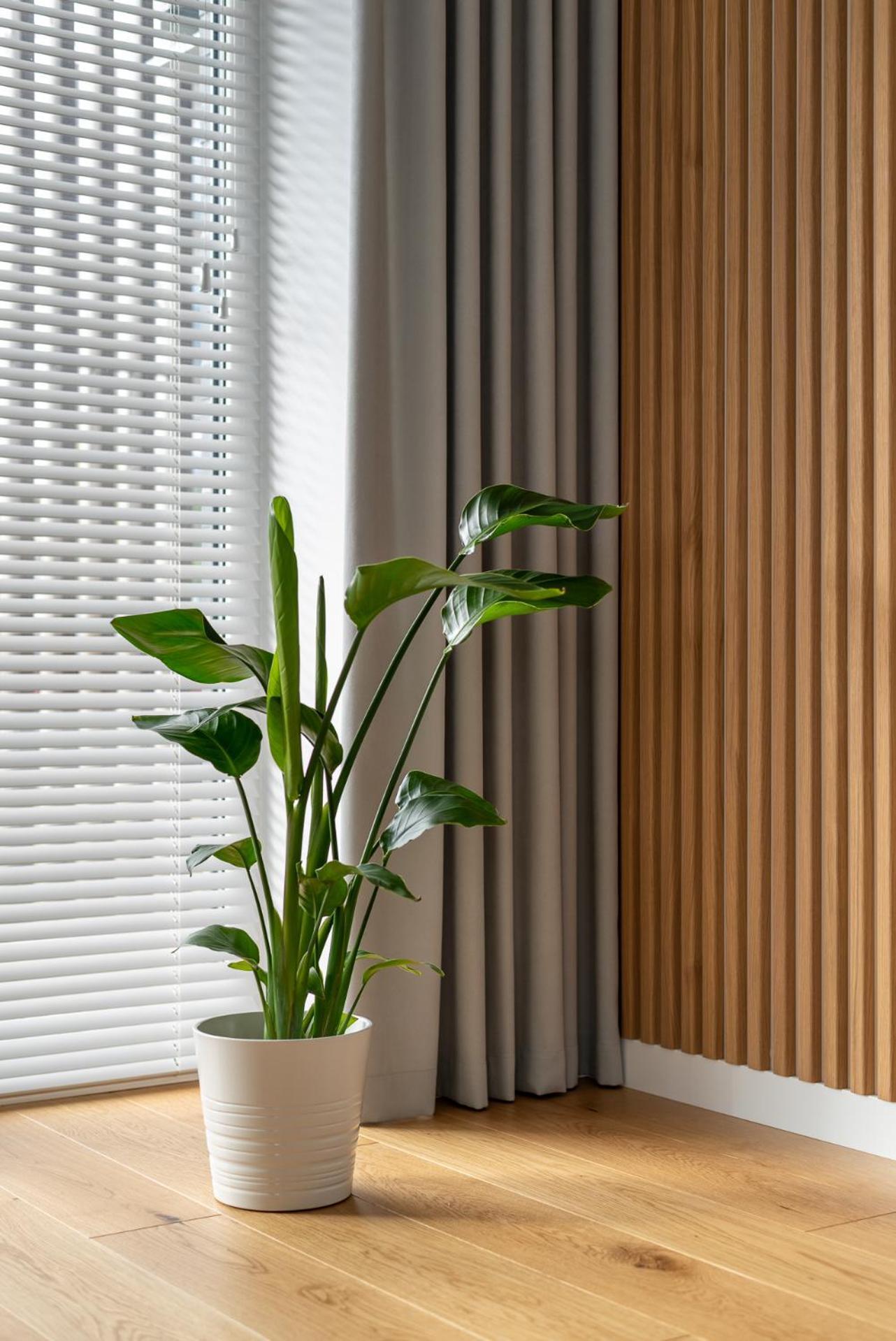 D33 Vilnius - Brand New Luxury Apartment With Terrace, Garden, Ac And Parking Buitenkant foto